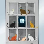 ILLUMINATING TRAJECTORY